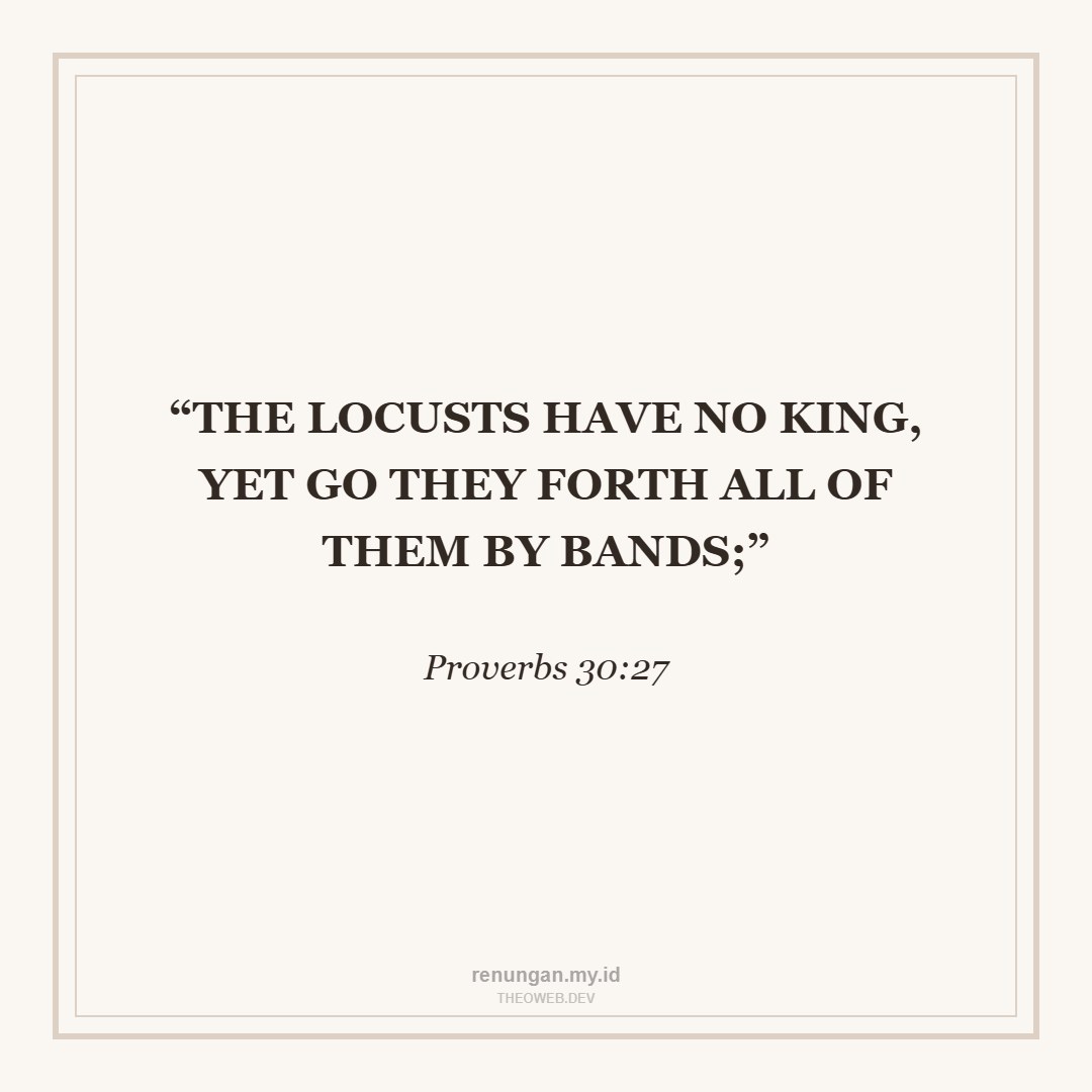 LEARNING WISDOM FROM LOCUSTS