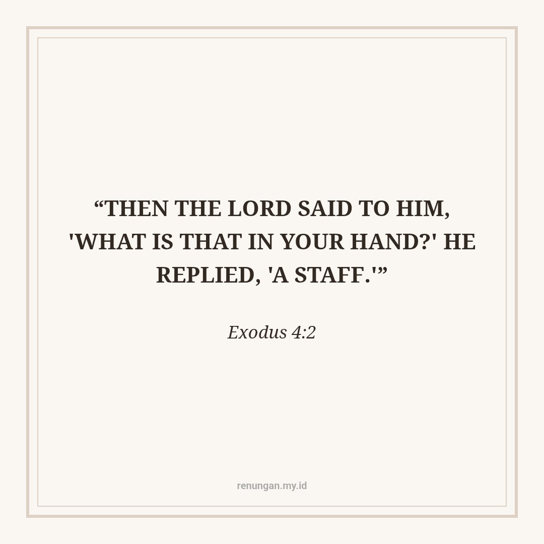 MIRACLES FROM WHAT IS IN YOUR HAND