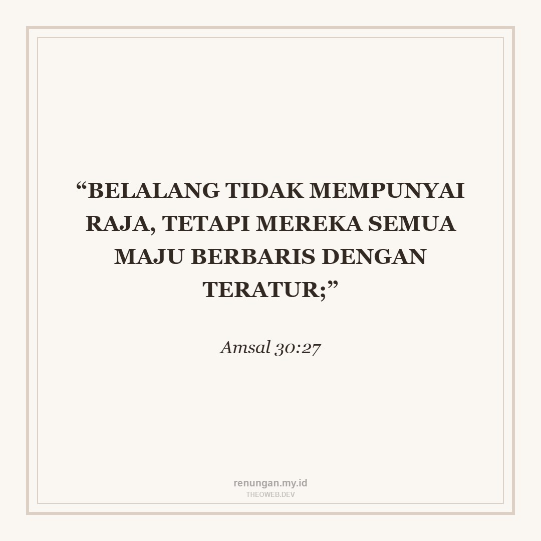 BELAJAR HIKMAT DARI BELALANG